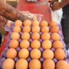 Tapa con 30 huevos orgánicos